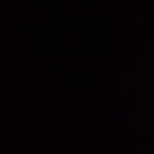 Meet your Posher, Dee